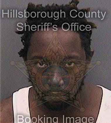Devin Boykins - Hillsborough County, FL 