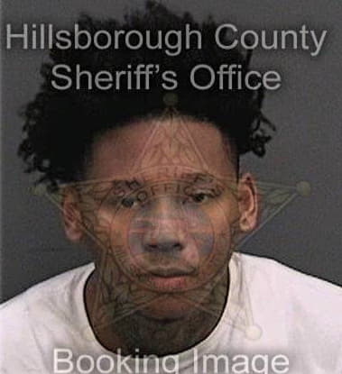 Leronce Cheeks - Hillsborough County, FL 