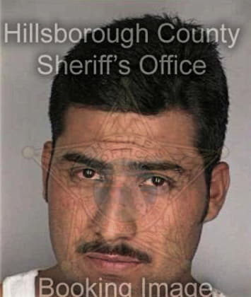 Jeffrey Chrysler - Hillsborough County, FL 