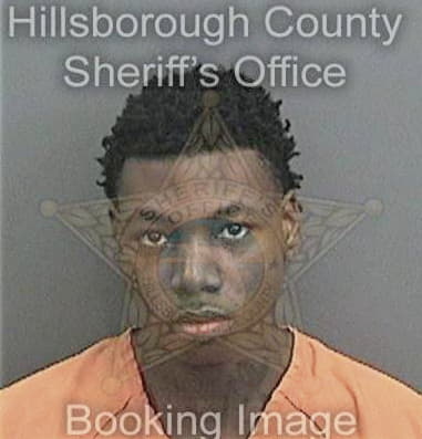 Hasani Andersonwilliams, - Hillsborough County, FL 