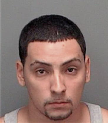 Juan Chavezesparza, - Pinellas County, FL 