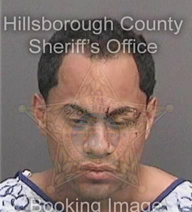 Damien Ervin, - Hillsborough County, FL 