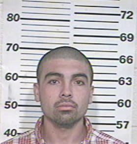 Mark Leal, - Hidalgo County, TX 