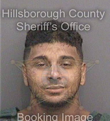 Hani Massih, - Hillsborough County, FL 