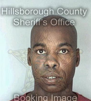 Steven Mathis - Hillsborough County, FL 