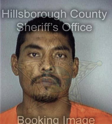 Steve Montalvo, - Hillsborough County, FL 