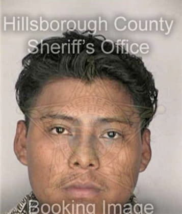 Dennis Perezfigueroa, - Hillsborough County, FL 