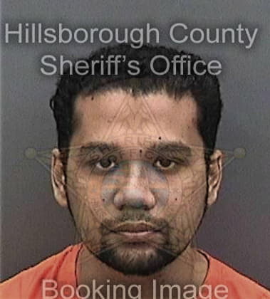 Karamjit Singh, - Hillsborough County, FL 