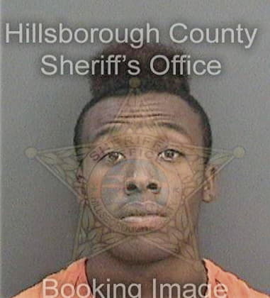 Lonnie Williams, - Hillsborough County, FL 