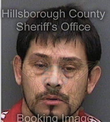 Edy Carrillovillafana, - Hillsborough County, FL 