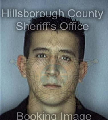 William Castillo, - Hillsborough County, FL 