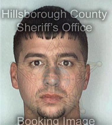 Brian Desilva, - Hillsborough County, FL 