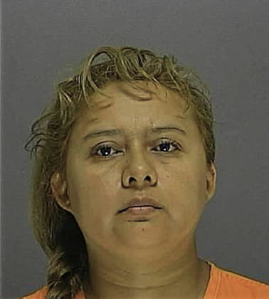 Claudia Estrada, - Volusia County, FL 