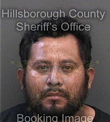 Michael Holmes, - Hillsborough County, FL 