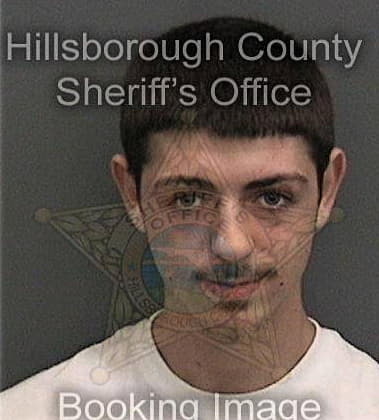 David Khakshoor, - Hillsborough County, FL 