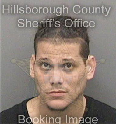 Ryder McMaster - Hillsborough County, FL 