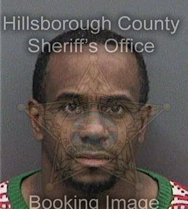 Michael Wiggins - Hillsborough County, FL 