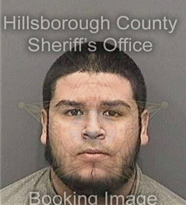 Travis Williams, - Hillsborough County, FL 