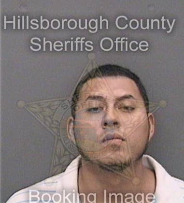 Juan Alvarado-Colon, - Hillsborough County, FL 