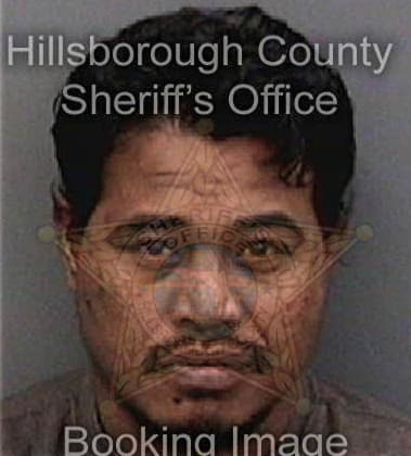 Remo Bagasting, - Hillsborough County, FL 