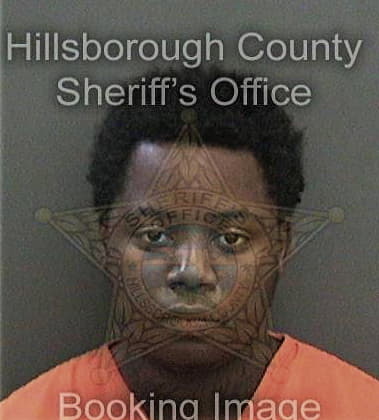 Rudy Jean, - Hillsborough County, FL 