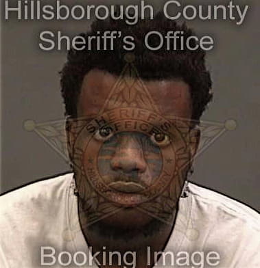 Jermaine Lee, - Hillsborough County, FL 