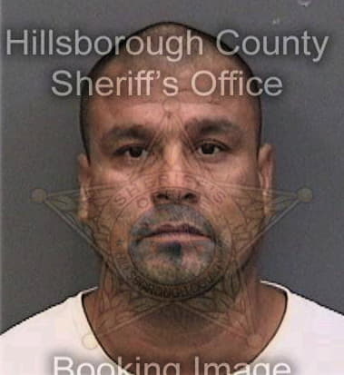 Nelson Rivera - Hillsborough County, FL 