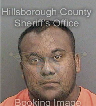Joas Riveravalerio - Hillsborough County, FL 