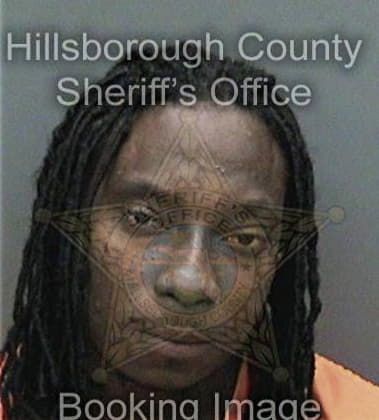 Lawrence White - Hillsborough County, FL 