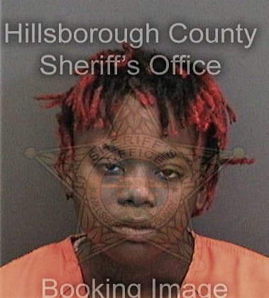 Alicia Wiggins - Hillsborough County, FL 