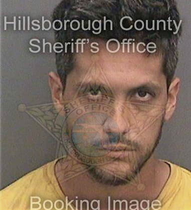 Mario Contrerasvazquez, - Hillsborough County, FL 