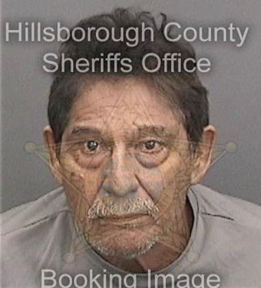 Joseph Emmerflores, - Hillsborough County, FL 