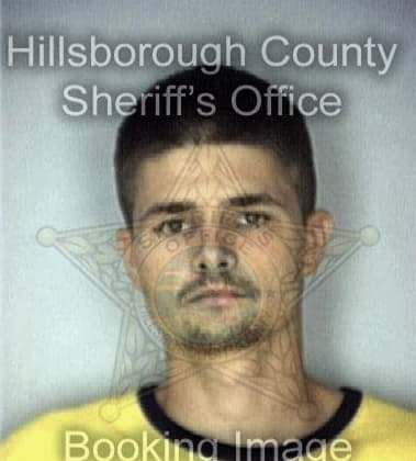Mark Henson - Hillsborough County, FL 
