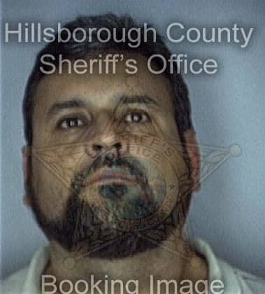 Shaun Bracken - Hillsborough County, FL 