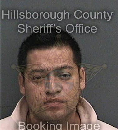 Joseph Reategui, - Hillsborough County, FL 