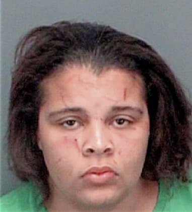 Diane Sims - Pinellas County, FL 