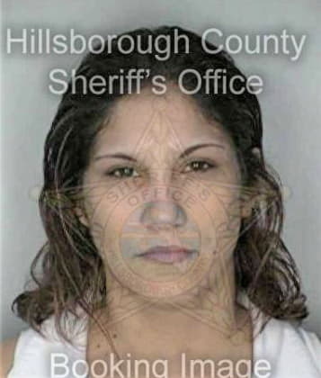 Tamara Bixler - Hillsborough County, FL 