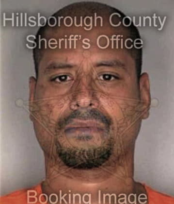 Fermin Garcia, - Hillsborough County, FL 