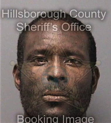 Kenneth King, - Hillsborough County, FL 