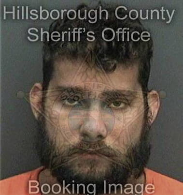 Matthew Mathis - Hillsborough County, FL 