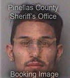 Michael McAuliffe - Pinellas County, FL 