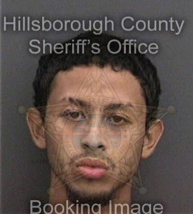 Reimar Sierraespinosa, - Hillsborough County, FL 