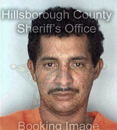 Justin Whitford - Hillsborough County, FL 