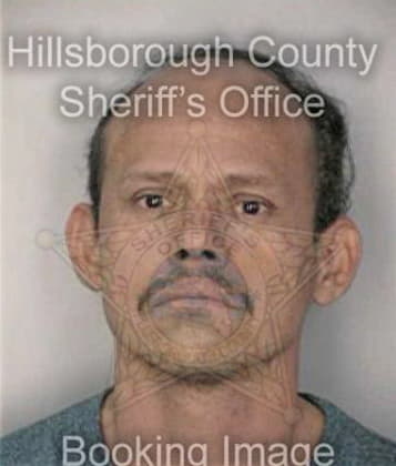 John Bradford - Hillsborough County, FL 