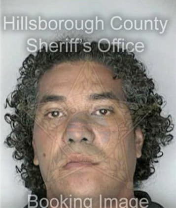 Ronald Castro, - Hillsborough County, FL 