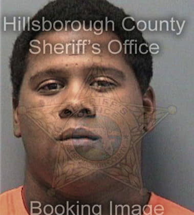 Damian Hardie, - Hillsborough County, FL 