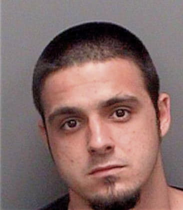 Samuel Palasota, - Pinellas County, FL 