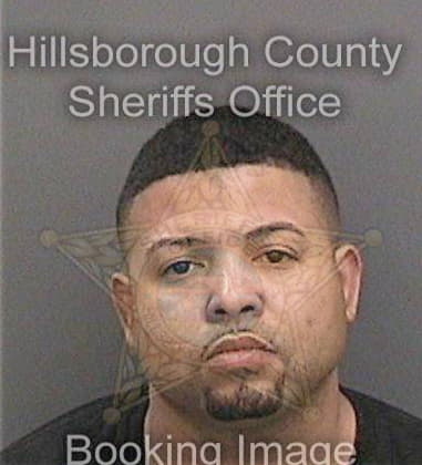 Elmis Quinonezmayen, - Hillsborough County, FL 