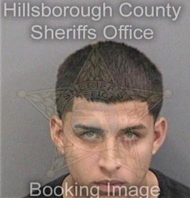 Reinaldo Roblesfernandez, - Hillsborough County, FL 