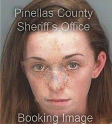 Andrea Ruizdelsol, - Pinellas County, FL 